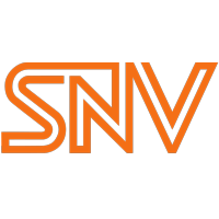 snv.com.br